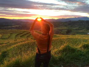 Sun Rice Homestay